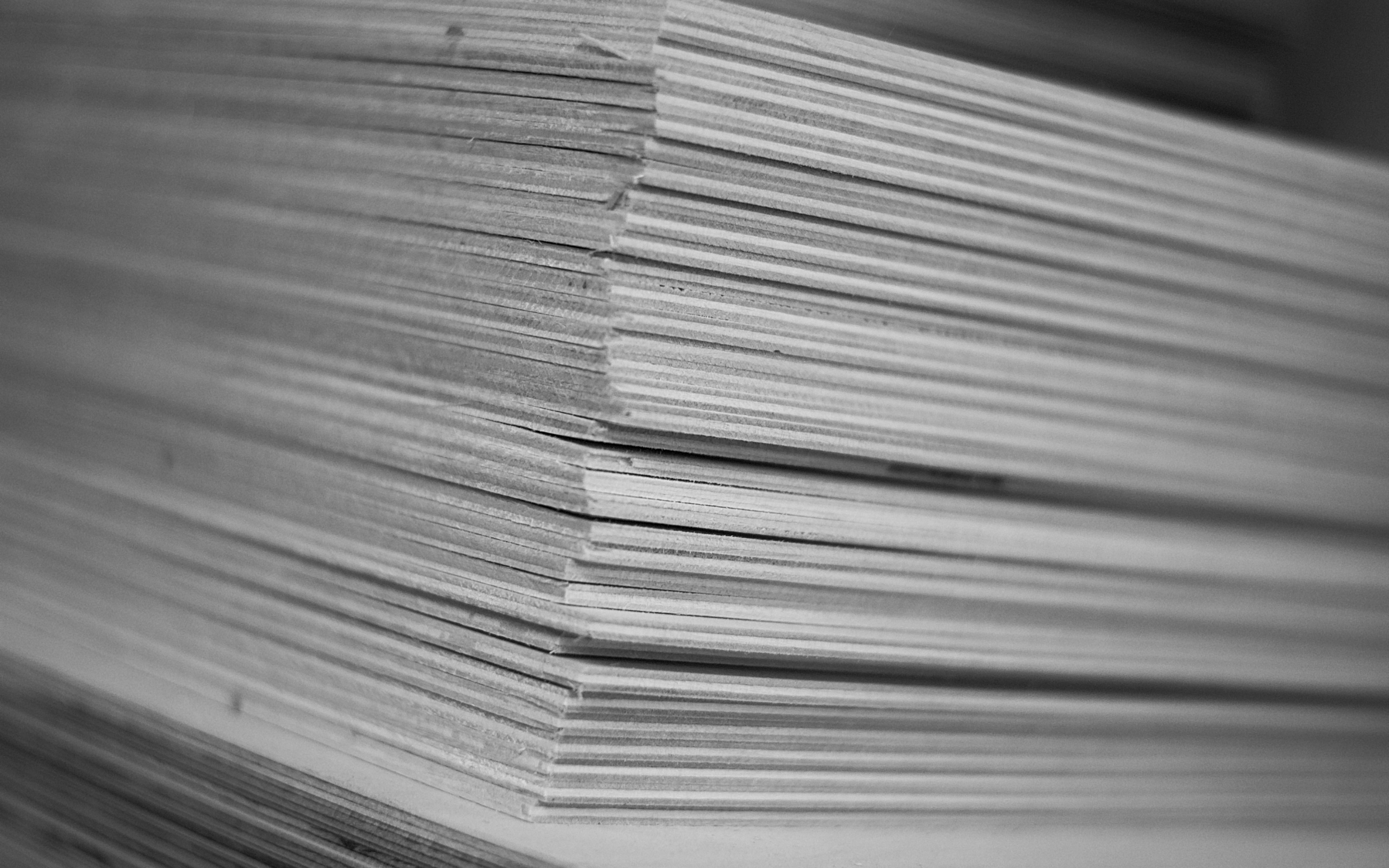 Stack of Baltic birch plywood used to craft the Cuut pet crate